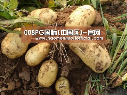 种植基地六