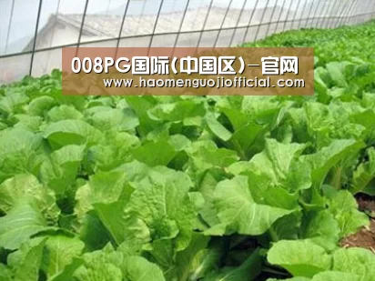 种植基地一