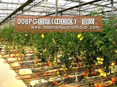 种植基地二