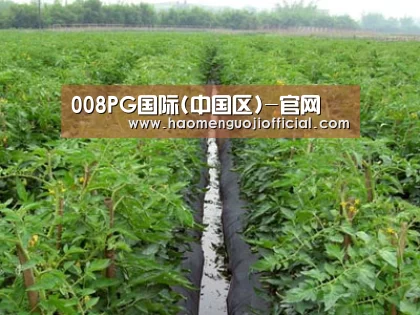 种植基地三