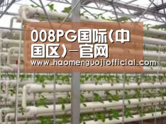 环境展示六